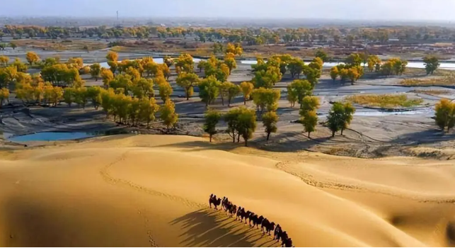 为什么古代中国宁可控制遍地沙漠的新疆，也不攻打东南亚