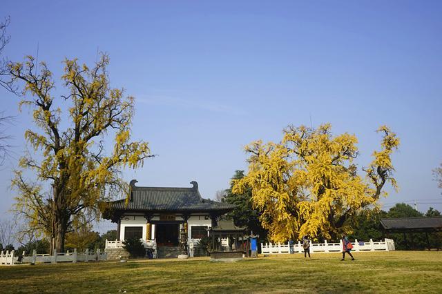 金陵小绝-惠济寺